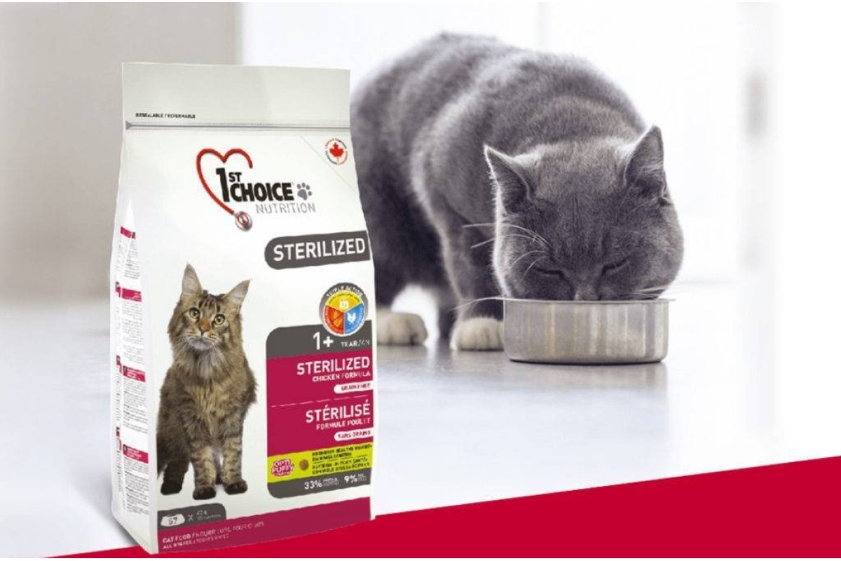 Корм для кошек сухой 1. 1st choice Sterilized для кошек. Сухой корм 1st choice. Фест Чойс корм кошки курица. Фест Чойс для кастрированных кошек.